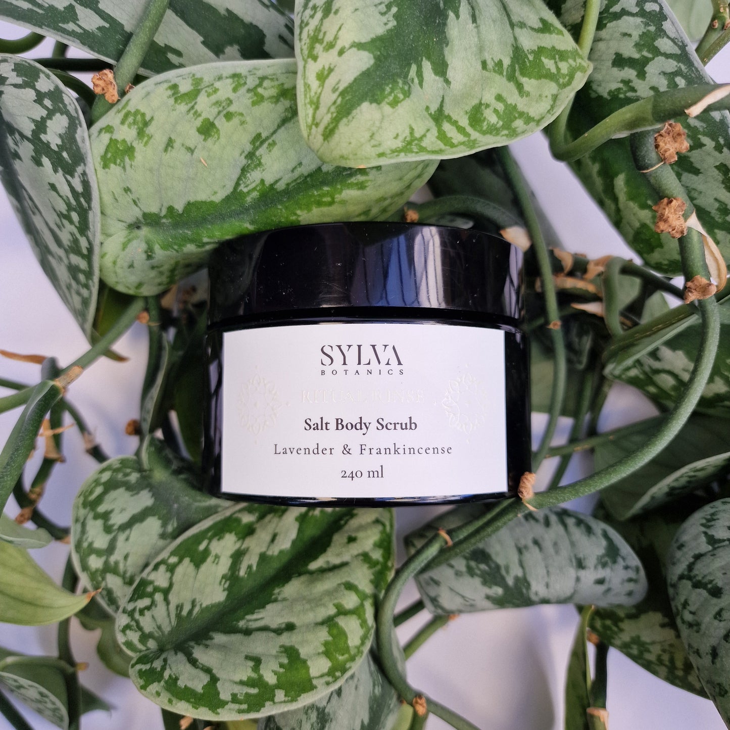 Sylva Botanics salt body scrub packaging surrounded by green leaves